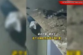 被吓得跳霹雳舞！屋顶被三条蟒蛇压塌，屋主人直言已在那好多年了视频封面