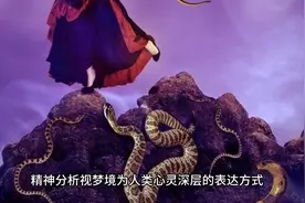 梦见蛇或处于许多蛇之中视频封面