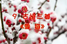 四年级上册语文《9.古诗三首：雪梅》，学好古诗词，语文成绩更好视频封面