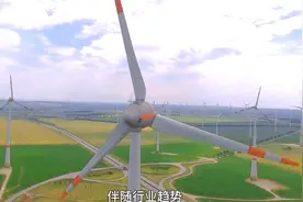 三大风电行业细分龙头视频封面