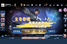 王者荣耀明明开音效了为啥没声音