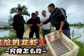 尴尬吃龙虾，上船收网惊喜刺激，大哥豪爽女主疑惑尝鲜有意思视频封面
