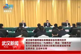武汉城市圈同城化发展座谈会在黄冈召开 应勇讲话 王忠林主持视频封面