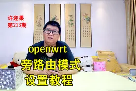 许迎果 第213期 openwrt旁路由模式设置教程视频封面