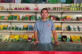 今年的白粉虱为什么这么难治？这种情况如何有效防治？