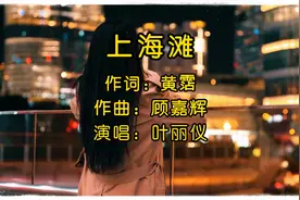 经典歌曲收藏录合集，一人一首成名歌曲《上海滩》完整版