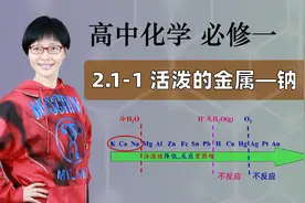 【活泼的金属——钠】高中化学 必修一 第二章 钠和氯 2.1-1视频封面
