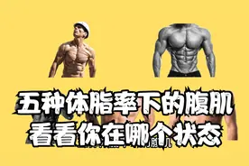 五种体脂率下的腹肌，看看你在哪个状态