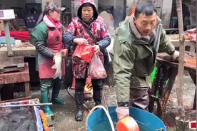 一个暴利养殖路子，不愁卖，一斤卖12块年入25万，场地不要投钱视频封面