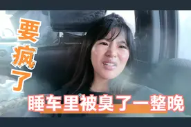 妹子自驾西藏睡在车里，结果狗狗半夜拉肚子被熏了一晚上，要疯了视频封面