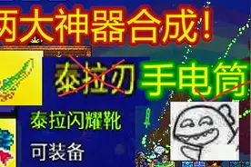 【呱】泰拉瑞亚27：终极泰拉之刃和泰拉闪耀鞋！怎么合成顺利呢！视频封面