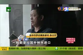 对人有攻击性的红火蚁入侵金华村庄 居民被咬心发慌 消杀就要启动视频封面