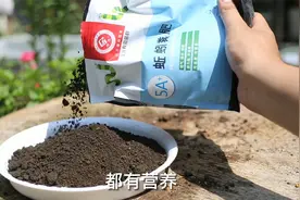 懒人养花用什么土壤？园艺师教你，用蚯蚓粪土，一年不用施肥视频封面