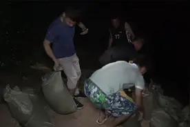 深山里承包的10几亩鱼塘，夜晚放鱼，小伙伴们忙得热火朝天！视频封面
