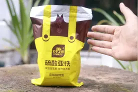 喜酸植物用什么肥？园艺师教你，用硫酸亚铁，促进开花，预防黄叶视频封面