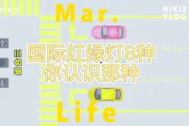 国际红绿灯8种组合你汄识那种视频封面