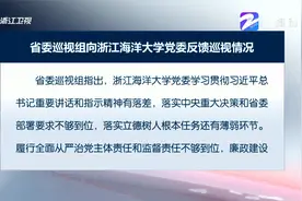 省委巡视组向浙江师范大学党委反馈巡视情况视频封面