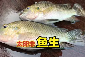 跟隔壁大爷要了2条太阳非，简单的做一道鱼生，那小味真不赖