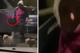 坏人变老了！74岁老太太划伤邻居女儿路虎车 被判罚款3万大快人心视频封面