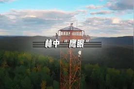最孤独的勇士：瞭望员，森林防护的“千里眼”！视频封面