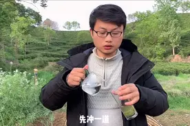 冲泡绿茶的时候需不需要洗茶？茶农小曾告诉大家原因视频封面