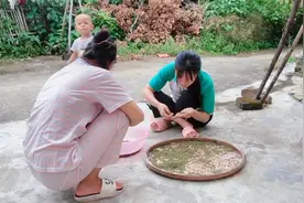 长虫的绿豆之绿豆沙，你们害怕吗？