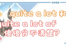 quite a lot 和quit a lot of 的区别是什么？视频封面