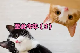 男朋友当着我的面和别的女人「亲亲我我」，还让我别不懂事。