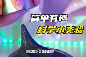 几个简单的亲子互动游戏推荐，在家陪孩子轻松涨知识，激发想象力