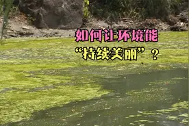 整治过的河道突然泛蓝藻？村民这样说…环境保护 该如何“持久”视频封面