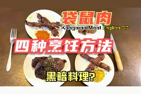 【袋鼠肉大评测】袋鼠肉啥口感？怎么烹饪好吃？肯定没看过的视频