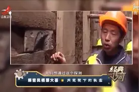 发掘神秘古墓，因为保存完好怕破坏文物，专家先用内窥镜探测视频封面