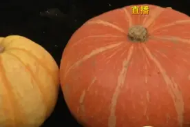 羊肉和南瓜、鱼同食，会发生中毒，这是真的吗？