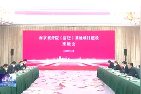 南京玻纤院（宿迁）产业基地高硅氧生产线投产视频封面