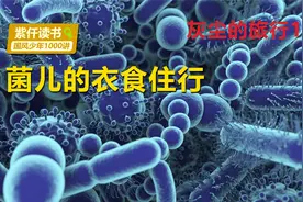 灰尘的旅行16：细菌也少不了衣食住行，只是没人类那么讲究而已视频封面