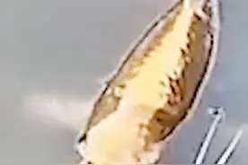 真的太像了！云南一景区湖中出现人面锦鲤 网友看后直呼这成精了