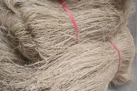 家有红薯粉条留心，抓紧用水泡3分钟，有这现象尽早扔掉，别吃了视频封面