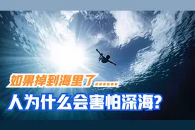 深海恐惧症是什么？为什么大部分人都有？