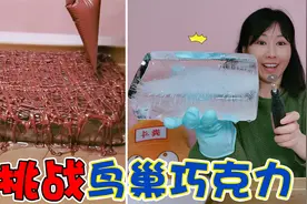 挑战做鸟巢巧克力！在冰块上切了1000多刀，结果变成了“鸟窝”视频封面