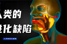 人类的进化缺陷之谜，为什么我们浑身都是BUG视频封面