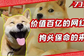 一张价值百亿的狗头保命表情包,它背后的狗子到底是谁？视频封面