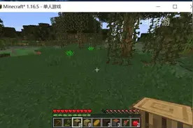 我的世界minecraft1.16.5国际版多模组生存1,点赞过10发数据包