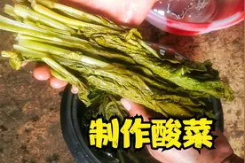 看看贵州小伙摘野菜如何做“酸菜”，简单2步，酸菜又酸又好吃视频封面