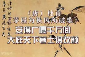 安得广厦千万间，大庇天下寒士俱欢颜#杜甫《茅屋为秋风所破歌》视频封面