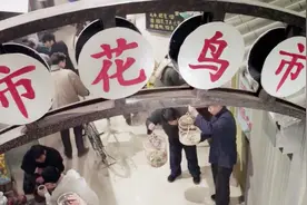 妈妈把钥匙给小女儿叫她回去拿存折，但存折早已被儿子偷去买蝈蝈视频封面