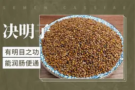 决明子——有明目之功，能润肠便通视频封面