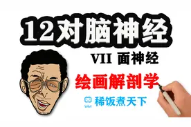 【绘画解剖学 神经】12对脑神经（中）黄猿教你学面瘫视频封面
