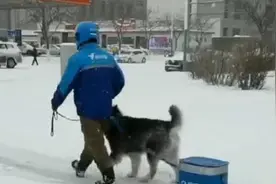 配送费怎么算？内蒙古外卖小哥让雪橇犬拉箱送餐：干回老本行了视频封面