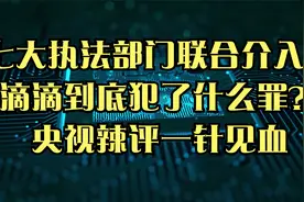 七大执法部门联合介入！滴滴到底犯了什么罪？央视辣评一针见血视频封面