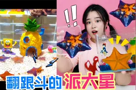 “派大星”你养过吗？能在水里翻跟头，太萌了！为啥最后却干瘪了